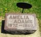 HOLDREDGE, Amelia M.