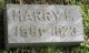 PUFFER, Harry Fayette (I15104)