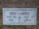 HAMMER, Fred (I40107)