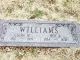 WILLIAMS, Roy Lenard (I33573)